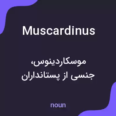 معنی muscardinus به فارسی معنی muscardinus به فارسی