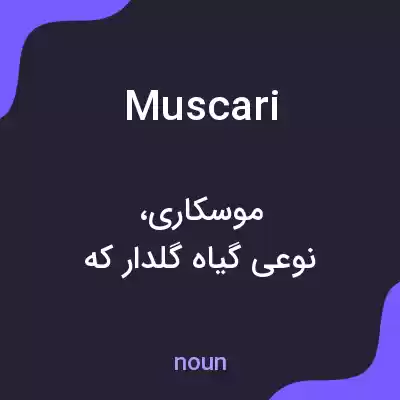 معنی muscari به فارسی معنی muscari به فارسی