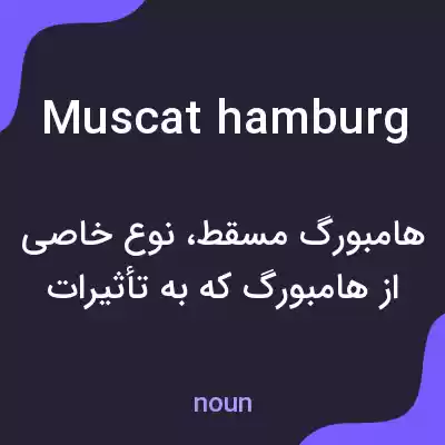 معنی muscat hamburg به فارسی معنی muscat hamburg به فارسی