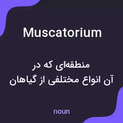 معنی muscatorium به فارسی معنی muscatorium به فارسی