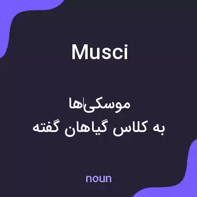 معنی musci به فارسی معنی musci به فارسی