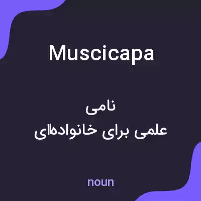 معنی muscicapa به فارسی معنی muscicapa به فارسی