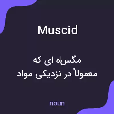 معنی muscid به فارسی معنی muscid به فارسی