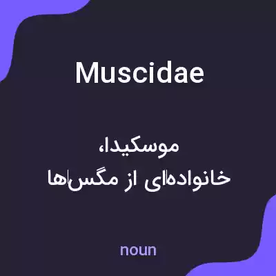 معنی muscidae به فارسی معنی muscidae به فارسی