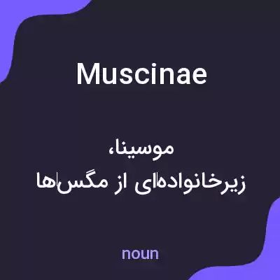 معنی muscinae به فارسی معنی muscinae به فارسی