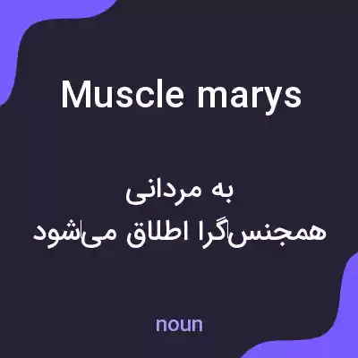 معنی muscle marys به فارسی