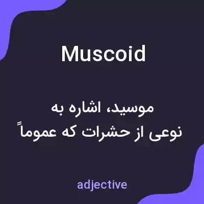 معنی muscoid به فارسی معنی muscoid به فارسی