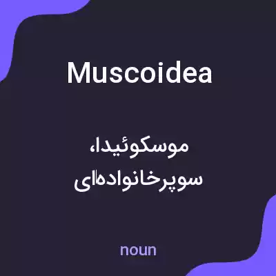 معنی muscoidea به فارسی معنی muscoidea به فارسی