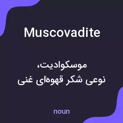 معنی muscovadite به فارسی معنی muscovadite به فارسی
