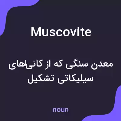 معنی muscovite به فارسی معنی muscovite به فارسی