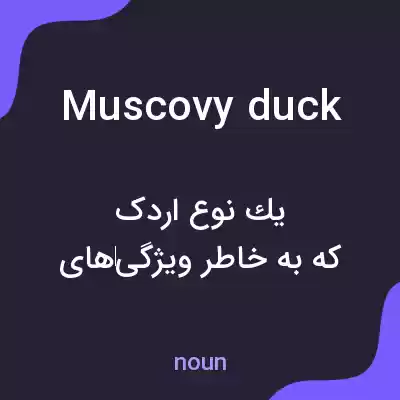 معنی muscovy duck به فارسی معنی muscovy duck به فارسی