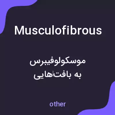 معنی musculofibrous به فارسی معنی musculofibrous به فارسی