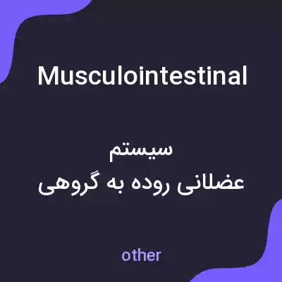 معنی musculointestinal به فارسی معنی musculointestinal به فارسی