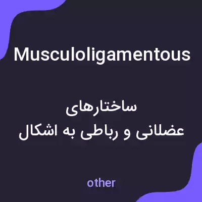 معنی musculoligamentous به فارسی معنی musculoligamentous به فارسی