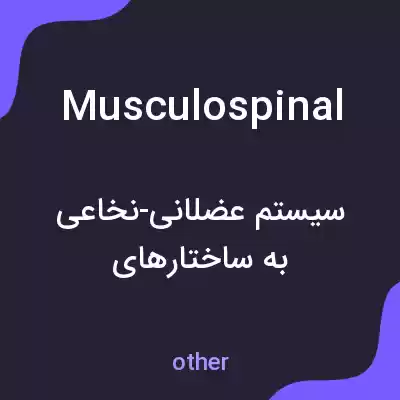 معنی musculospinal به فارسی معنی musculospinal به فارسی