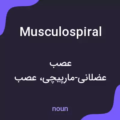 معنی musculospiral به فارسی معنی musculospiral به فارسی