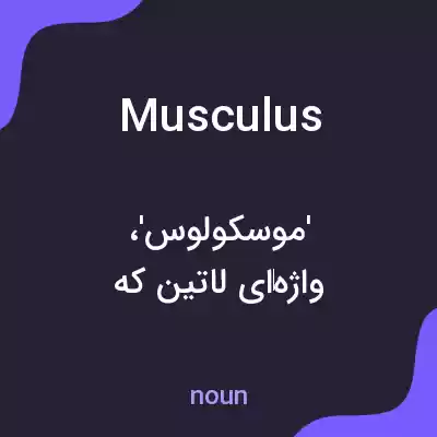 معنی musculus به فارسی معنی musculus به فارسی