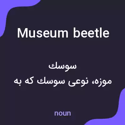 معنی museum beetle به فارسی معنی museum beetle به فارسی