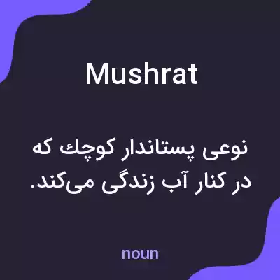 معنی mushrat به فارسی معنی mushrat به فارسی