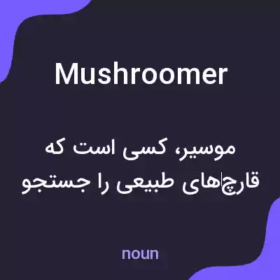 معنی mushroomer به فارسی معنی mushroomer به فارسی