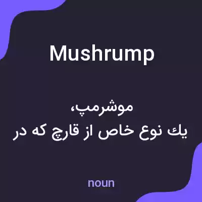معنی mushrump به فارسی معنی mushrump به فارسی
