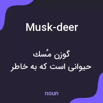معنی musk-deer به فارسی معنی musk-deer به فارسی