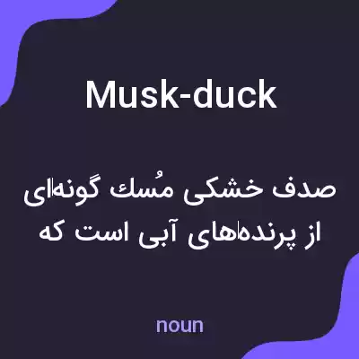معنی musk-duck به فارسی معنی musk-duck به فارسی