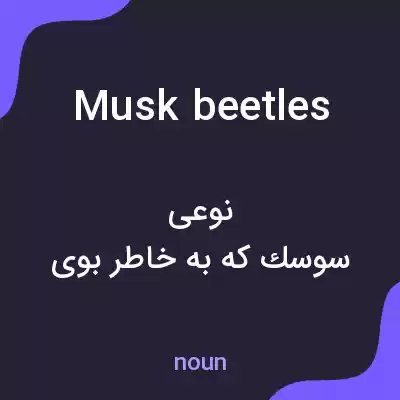معنی musk beetles به فارسی