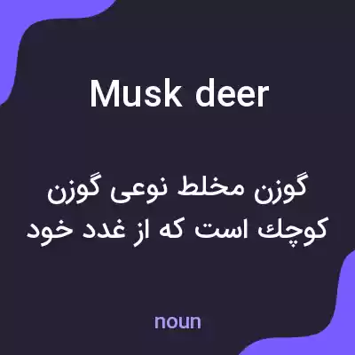 معنی musk deer به فارسی معنی musk deer به فارسی