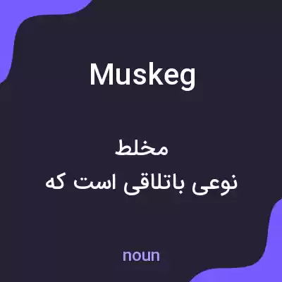معنی muskeg به فارسی معنی muskeg به فارسی
