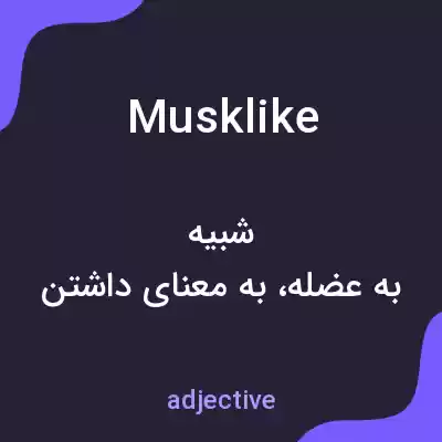 معنی musklike به فارسی معنی musklike به فارسی