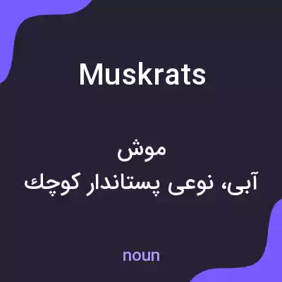معنی muskrats به فارسی معنی muskrats به فارسی