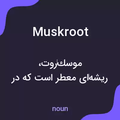 معنی muskroot به فارسی معنی muskroot به فارسی