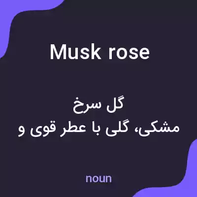 معنی musk rose به فارسی معنی musk rose به فارسی