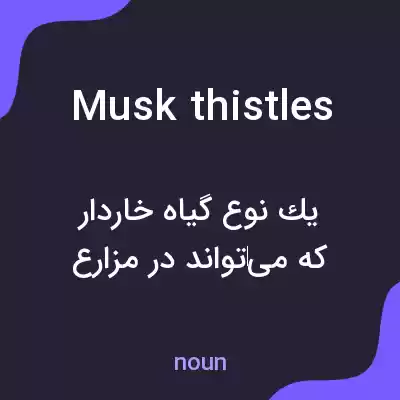 معنی musk thistles به فارسی معنی musk thistles به فارسی