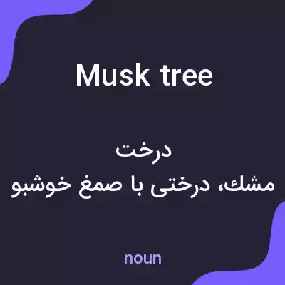 معنی musk tree به فارسی معنی musk tree به فارسی