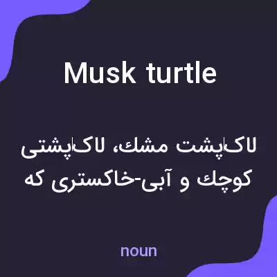 معنی musk turtle به فارسی معنی musk turtle به فارسی