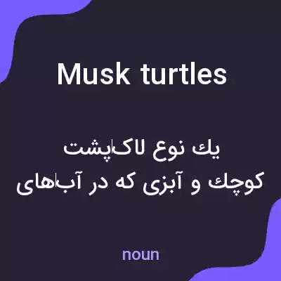 معنی musk turtles به فارسی معنی musk turtles به فارسی
