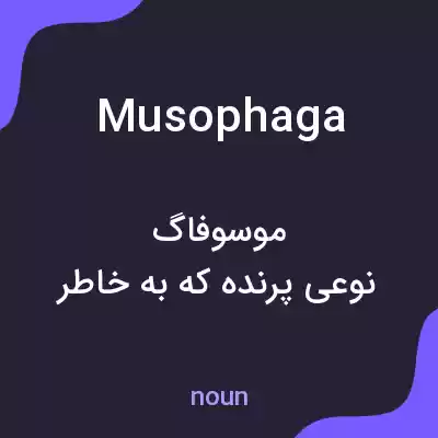 معنی musophaga به فارسی معنی musophaga به فارسی