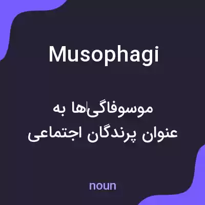 معنی musophagi به فارسی معنی musophagi به فارسی