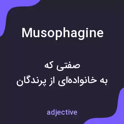 معنی musophagine به فارسی معنی musophagine به فارسی
