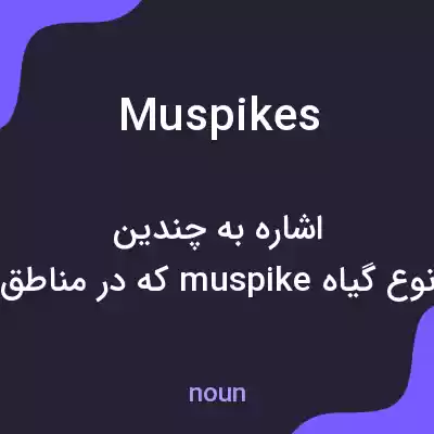 معنی muspikes به فارسی معنی muspikes به فارسی