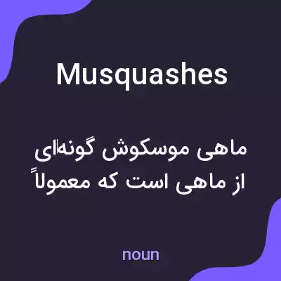 معنی musquashes به فارسی معنی musquashes به فارسی