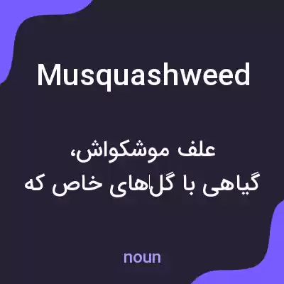 معنی musquashweed به فارسی معنی musquashweed به فارسی