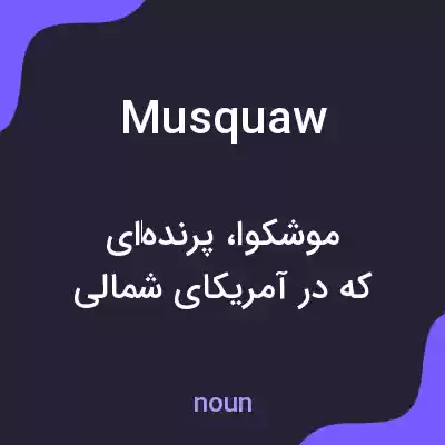 معنی musquaw به فارسی معنی musquaw به فارسی