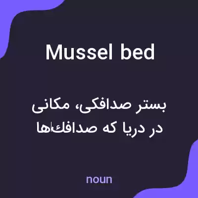 معنی mussel bed به فارسی معنی mussel bed به فارسی