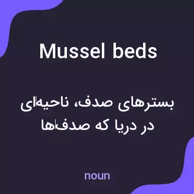 معنی mussel beds به فارسی معنی mussel beds به فارسی
