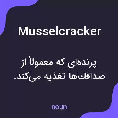 معنی musselcracker به فارسی معنی musselcracker به فارسی