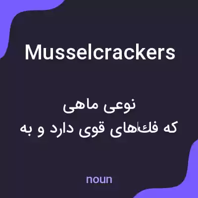 معنی musselcrackers به فارسی معنی musselcrackers به فارسی