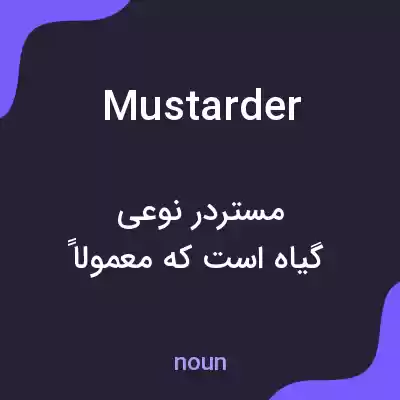 معنی mustarder به فارسی